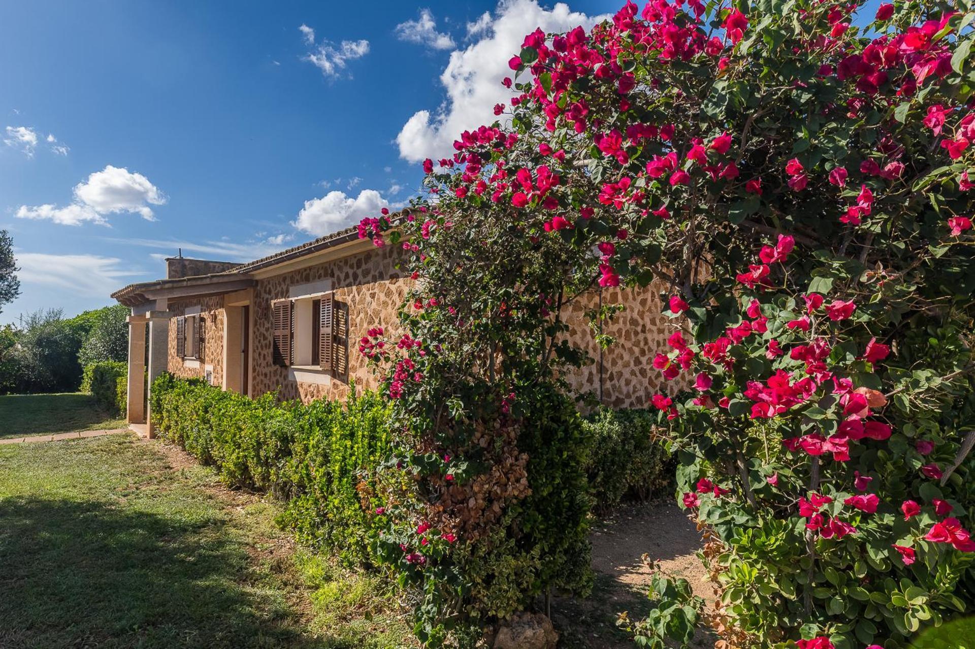 Son Sea Villa Campos  Dış mekan fotoğraf